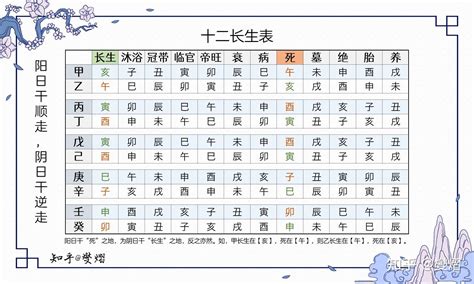 十二長生大運|八字之十二長生表詳解